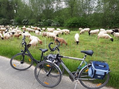 Wir nehmen am Stadtradeln (www.stadtradeln.de) für unsere Kommune teil und versuchen öfters als sonst mit dem Rad unterwegs zu sein. Unterwegs gibt es fast immer etwas zu sehen.